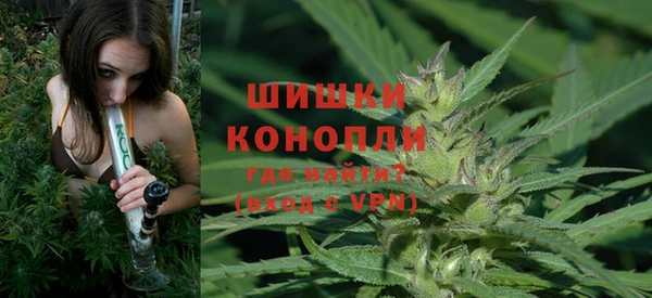 мяу мяу мука Пролетарск