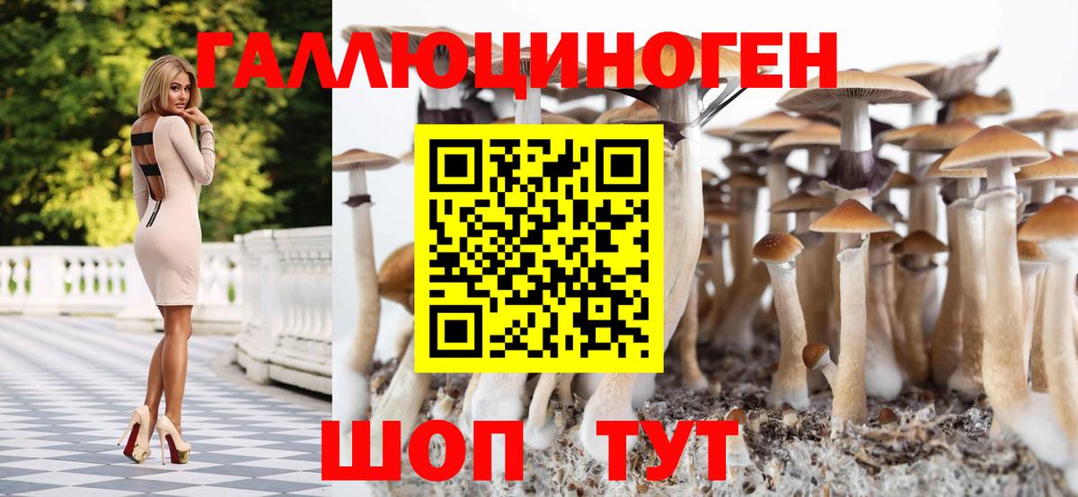 Азов  Галлюциногенные грибы Psilocybine cubensis  Вход с VPN 