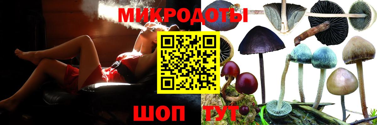 Псилоцибиновые грибы Cubensis Азов