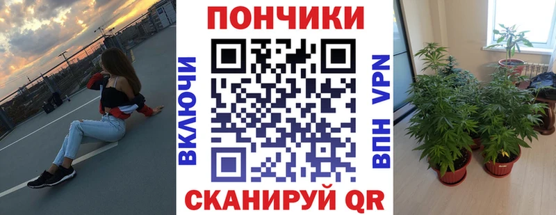 купить наркотик  Азов  Конопля Amnesia 